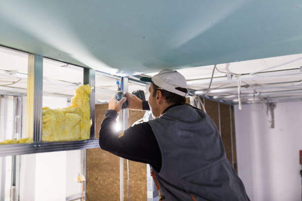 Best Insulation Installation Services in Reese, MI