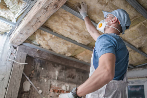 Best Residential Insulation in Reese, MI
