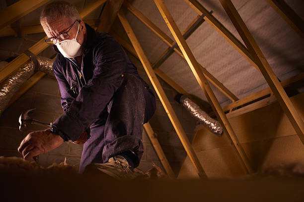 Best Residential Insulation in Reese, MI