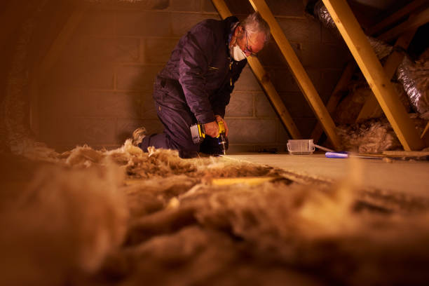 Best Energy Efficiency Solutions in Reese, MI
