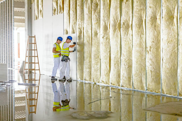 Best Types of Insulation in Reese, MI